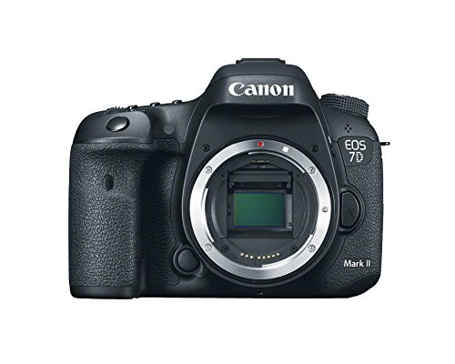 Image of a Canon Camera
