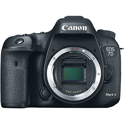 Image of a Canon Camera