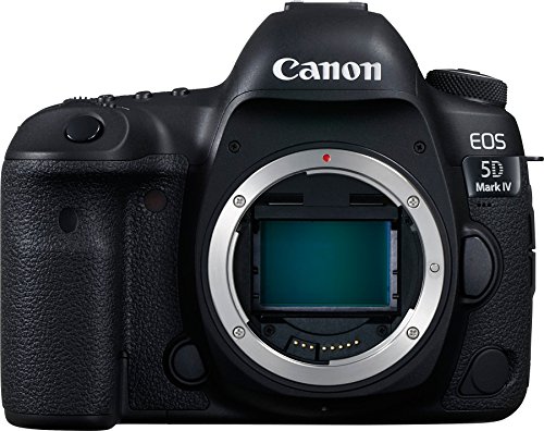 Image of a Canon Camera