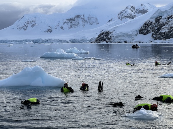 The Top 5 Things You Never Thought You Could Do in Antarctica - snorkeling.jpg