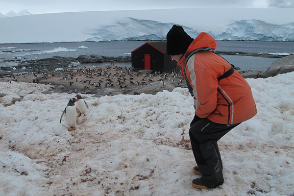 Antarctica Headgear and Gloves