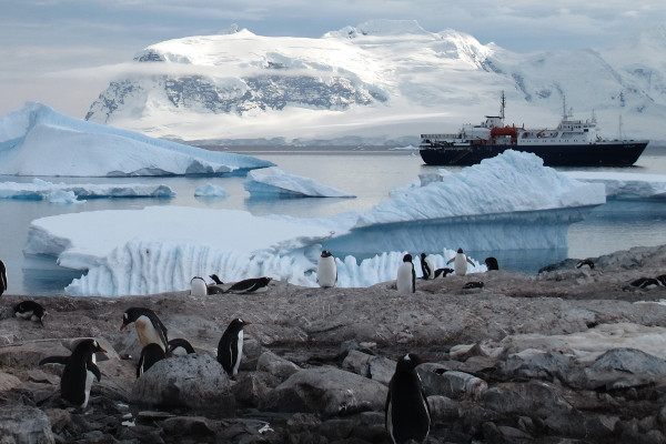 Antarctica Express Cruise Image