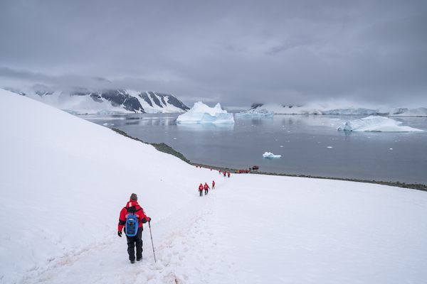 The impact of avian bird flu on Antarctic cruises