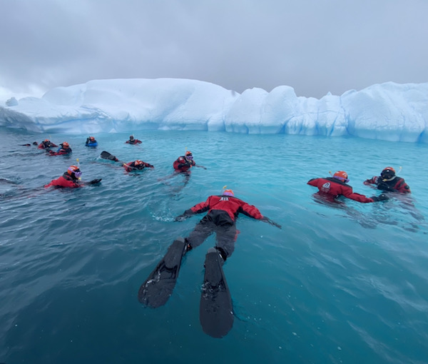 Snorkeling in Antarctica: All You Need to Know