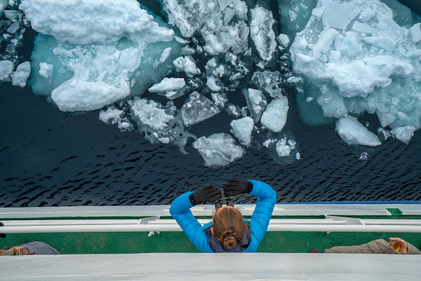 The Best Binoculars for Your Antarctic Cruise