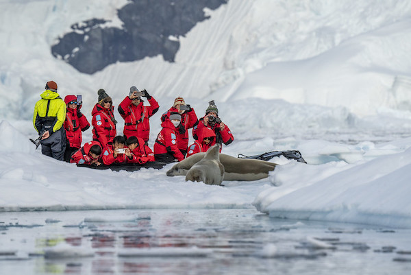 How to travel responsibly in Antarctica?